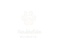 Fotos/Videos